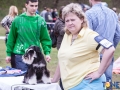 Dobre Miasto 2015-05-01_00098.jpg