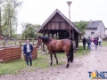 Dobre Miasto 2015-05-09_00015.jpg