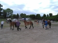 IMG_20150607_132353