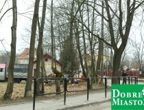 2016-12-16 warszawska drzewo wycinka piła drwal (2) (Medium)