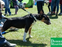 2017-05-01_majówka00005