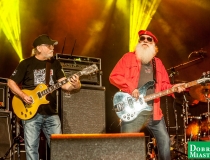 2017-07-22 Dobre Miasto koncert Dżem (61)