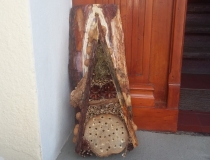 Dzień Pszczoły w Dobrym Mieście (11)