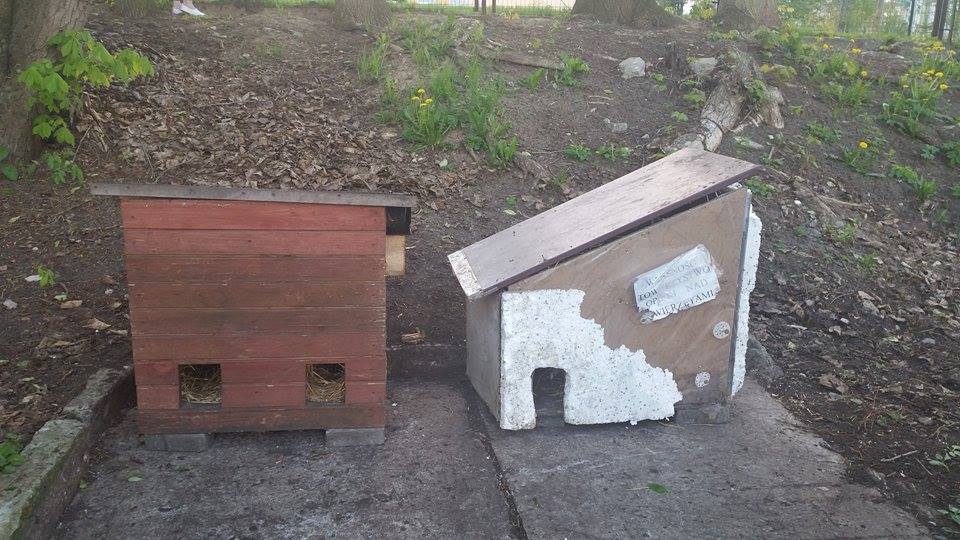 11220842_359395810897606_8373850523784450144_n