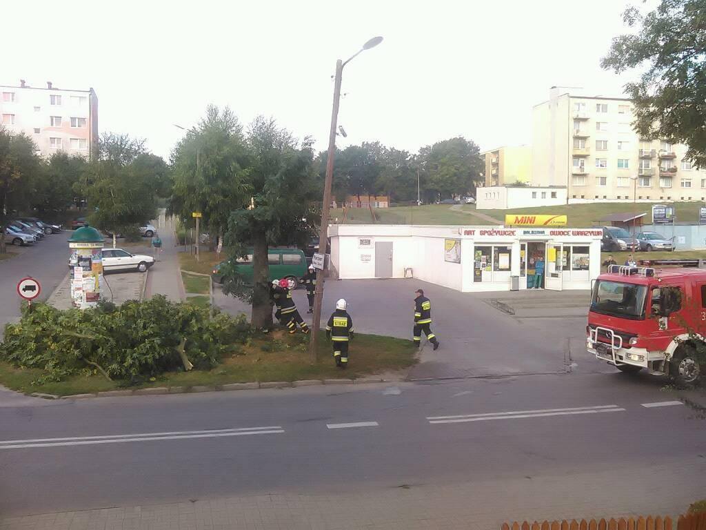 11986154_1207276879299102_221445042_o