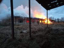 27501101_2022476924674836_7644624550937796412_o