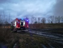 27501111_2022477374674791_7001288516500649752_o