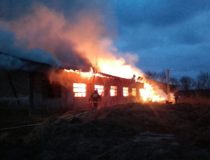 27545129_2022477188008143_3069674208890186480_n