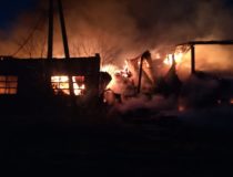 27747392_2022477008008161_4073063147625402256_o